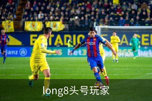long8头号玩家公司简介